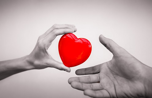 carta de aceptacion de donacion